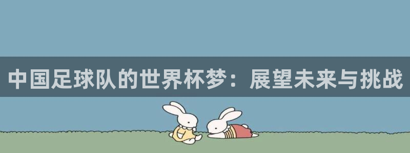 2026世界杯南美区积分榜:中国足球队的世界杯梦:展望未来与挑战