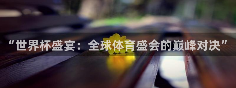 2026世界杯赛程:“世界杯盛宴:全球体育盛会的巅峰对决”
