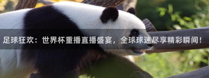 今天所有足球赛程表:足球狂欢:世界杯重播直播盛宴,全球球迷尽享精彩瞬间!