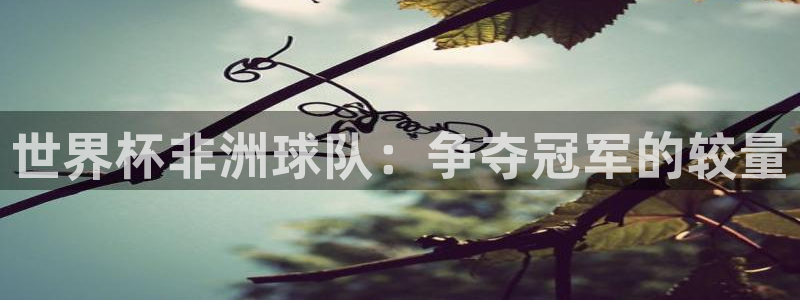 世界杯欧洲区预选赛赛程:世界杯非洲球队:争夺冠军的较量