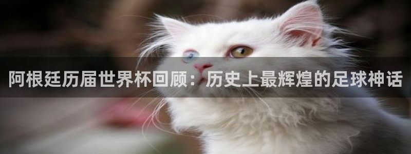 英格兰联赛杯直播:阿根廷历届世界杯回顾:历史上最辉煌的足球神话
